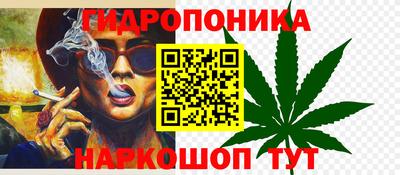 сатива Сланцы