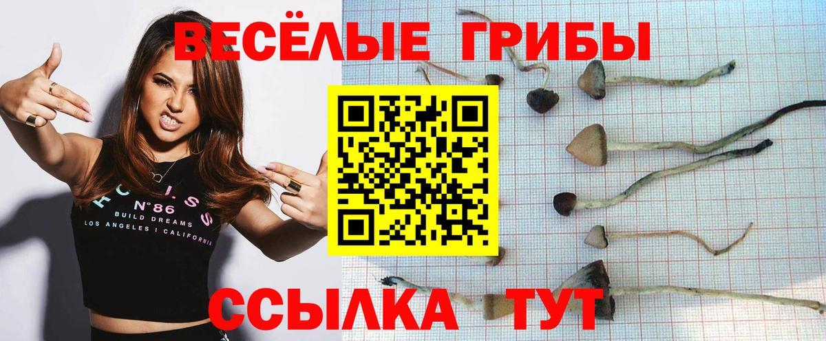 Галлюциногенные грибы мухоморы Нефтекумск