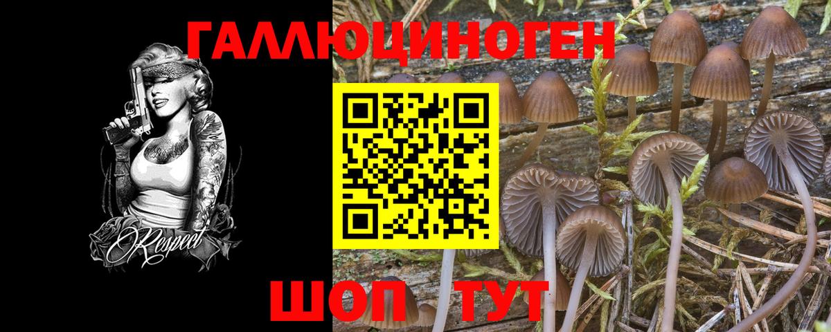 Нефтекумск  Галлюциногенные грибы Magic Shrooms  где продают   Вход с VPN  Галлюциногенные грибы Cubensis 